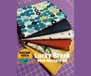Color Me Abstract Lucky Duck Mini Mystery Kit