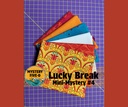 Modern Tulip Lucky Duck Mini Mystery Kit