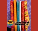Modern Tulip Lucky Duck Mini Mystery Kit