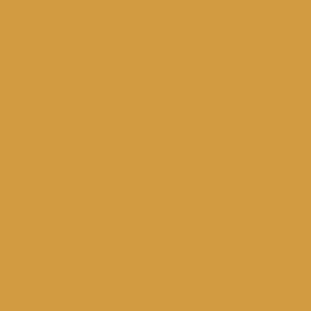 Confetti Cotton, Golden, Riley Blake