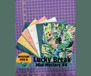 Flutterfly Lucky Duck Mini Mystery Kit