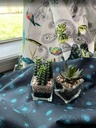 Starlight Sundown, Onward + Upward, Jessica Swift, Art Gallery Fabrics