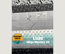 Luau Mega Quilt Kit, Sewing Themed, Mystery Five-0
