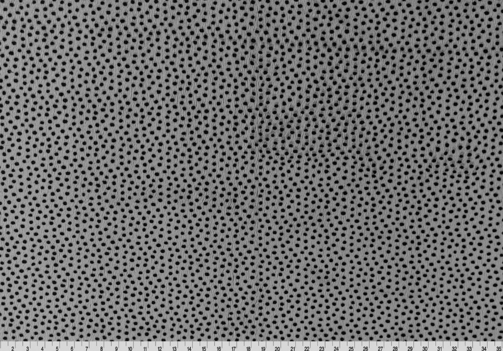 90in Wide Charcoal Dottie Cuddle,  Shannon Fabrics