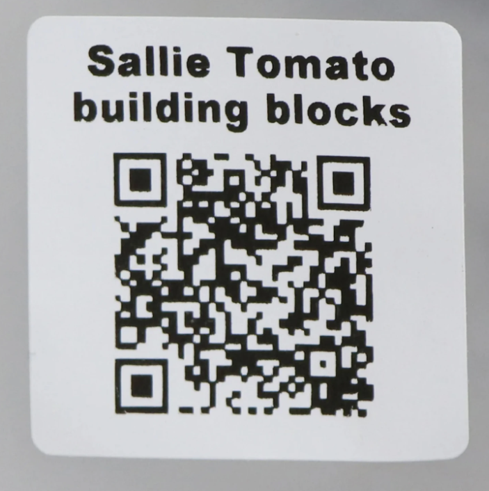Sallie Tomato Vintage Sewing Machine Building Block Set
