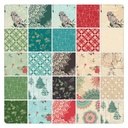 Doodle Star Sage, Winter Haven, Rachel Rossi, Benartex Fabrics