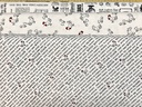 Diagonal Chicken Words, Zooming Chickens, Yards shown, StudioE Fabric