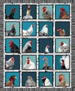 Irregular Stripe border, Zooming Chickens, StudioE Fabric