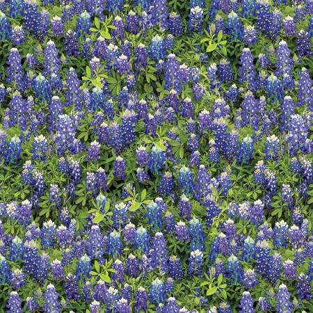 3 Yard Bundle, 108in Bluebonnet Flowers, Benartex Fabrics