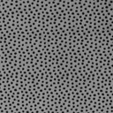 90in Wide Charcoal Dottie Cuddle,  Shannon Fabrics