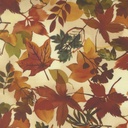 Fall Leaves, Northern Brights Autumn, Amarilys Henderson, Moda Fabrics