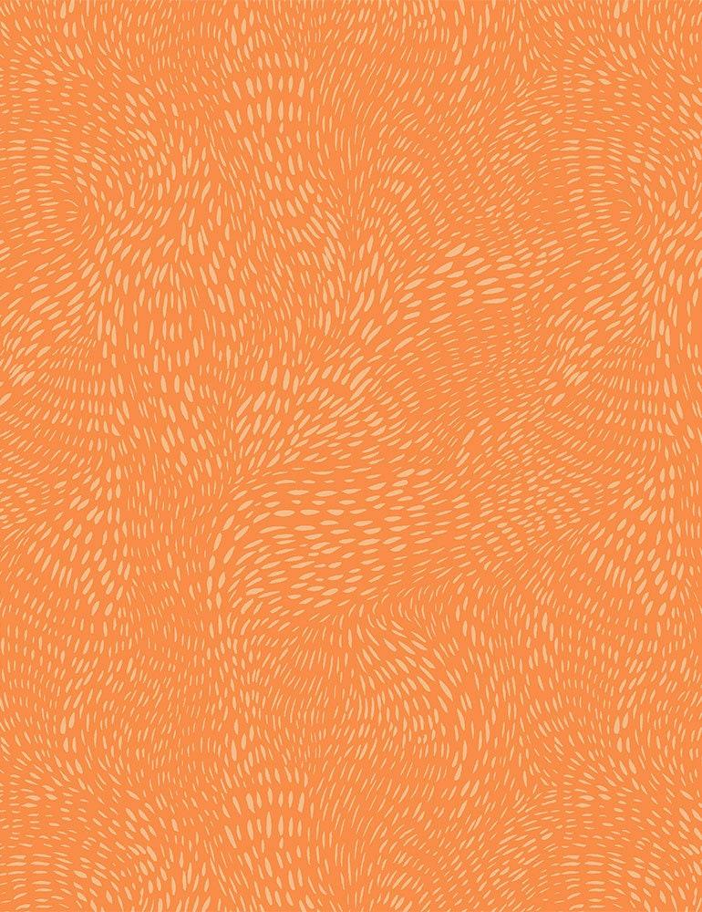 Dash Flow Autumn, Dear Stella