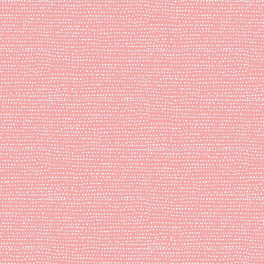 Moonscape Apricot, Dear Stella