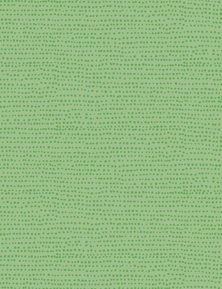 Moonscape Kiwi, Dear Stella