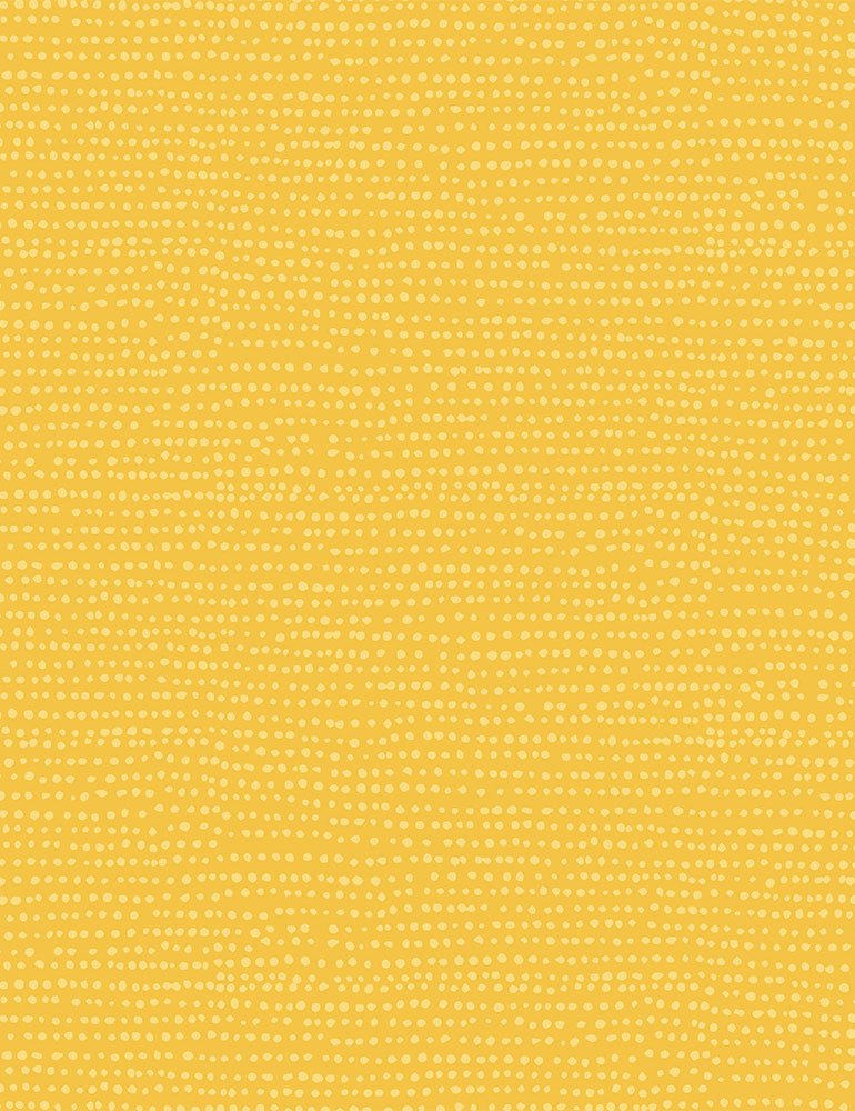 Moonscape Lemon, Dear Stella