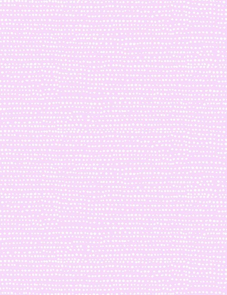 Moonscape Orchid, Dear Stella