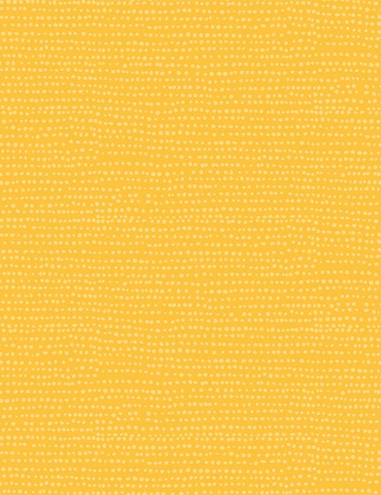 Moonscape Yolk, Dear Stella