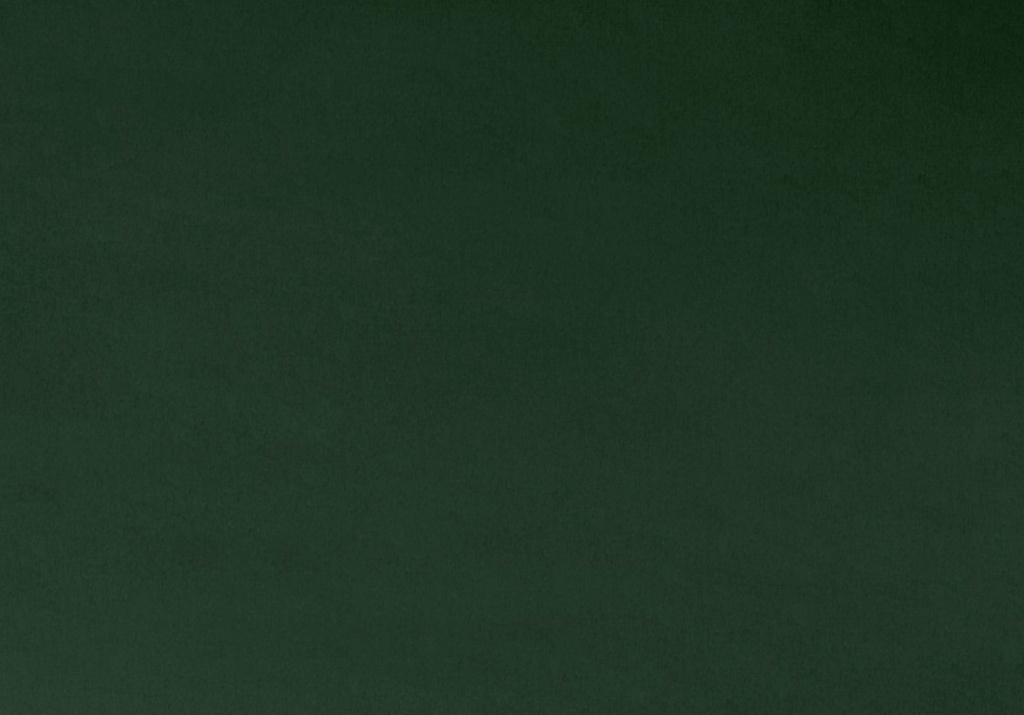 Forest (Green) 90in Solid Cuddle, Shannon Fabrics