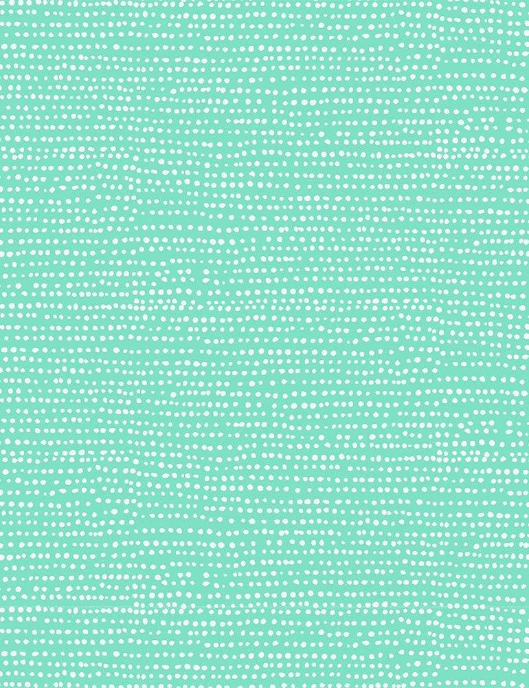 Moonscape Cockatoo, Dear Stella