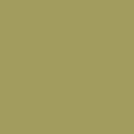 Confetti Cotton, Olive, Riley Blake