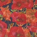 Poppy Large Floral Indigo, Superbloom, Robin Pickens, Moda Fabrics