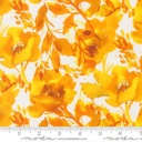 Poppies Floral Watercolor, Radiant, Amarilys Henderson, Moda Fabrics