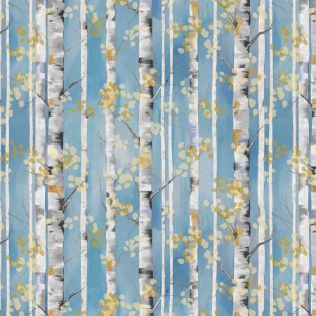 Slate Birch Trees, Behind Blue Eyes, Funny Girl, StudioE