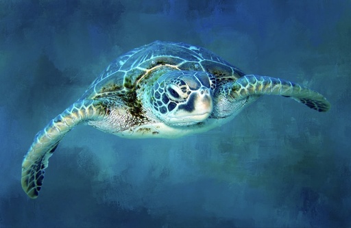 [OCE-015] Underwater Sea Turtle Panel 20in x 13in, Focus on Fabric Collection
