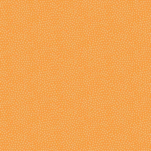 [TANGERINE-STELLA-1560] Jax Tangerine, Dear Stella