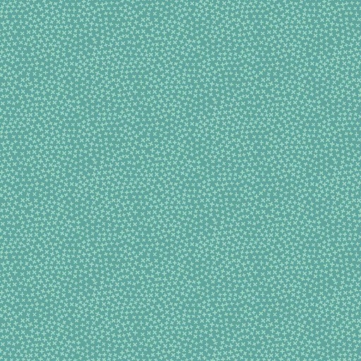 [PARAKEET-STELLA-1560] Jax Parakeet, Dear Stella