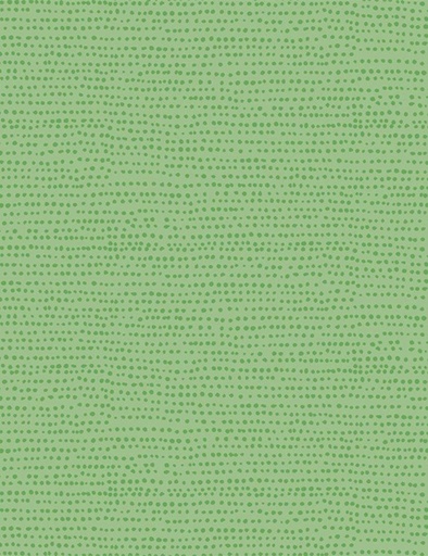 [KIWI- STELLA-1150] Moonscape Kiwi, Dear Stella