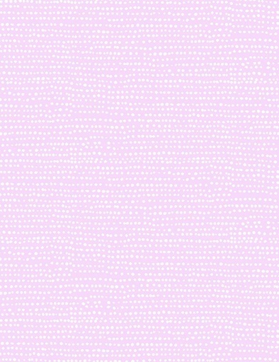 [ORCHID- STELLA-1150] Moonscape Orchid, Dear Stella