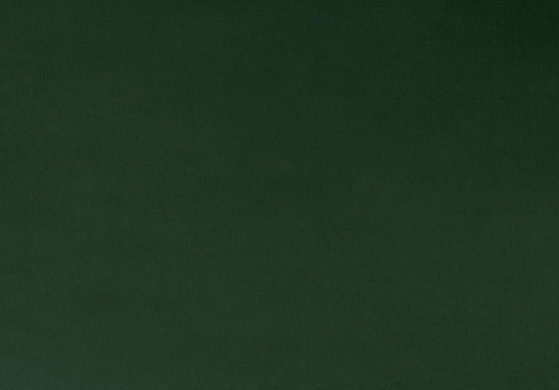 [C390 Forest] Forest (Green) 90in Solid Cuddle, Shannon Fabrics