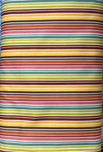 [DC10203-Multi-D] Multi Stripe Fabric, Sparkle Cotton, Vanessa Brantley Newton, We Are All Kinds of Wonderful, Michael Miller