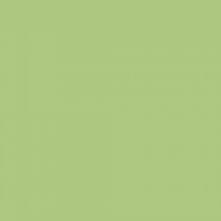 [C120-RILEYGREEN] Confetti Cotton, Riley Green, Riley Blake